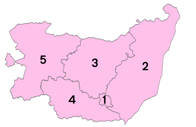 Large Suffolk numbered districts map