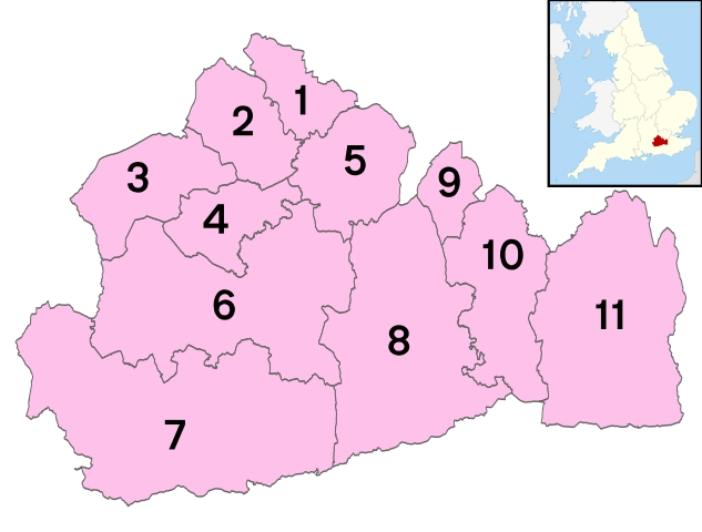 Large Surrey numbered districts map