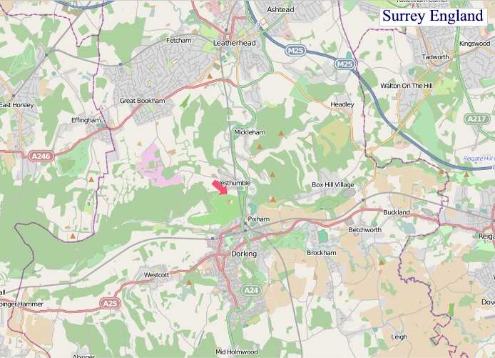 Large Surrey England map