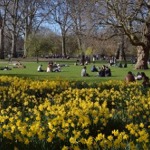 St James Park, Westminster, London, England, UK.