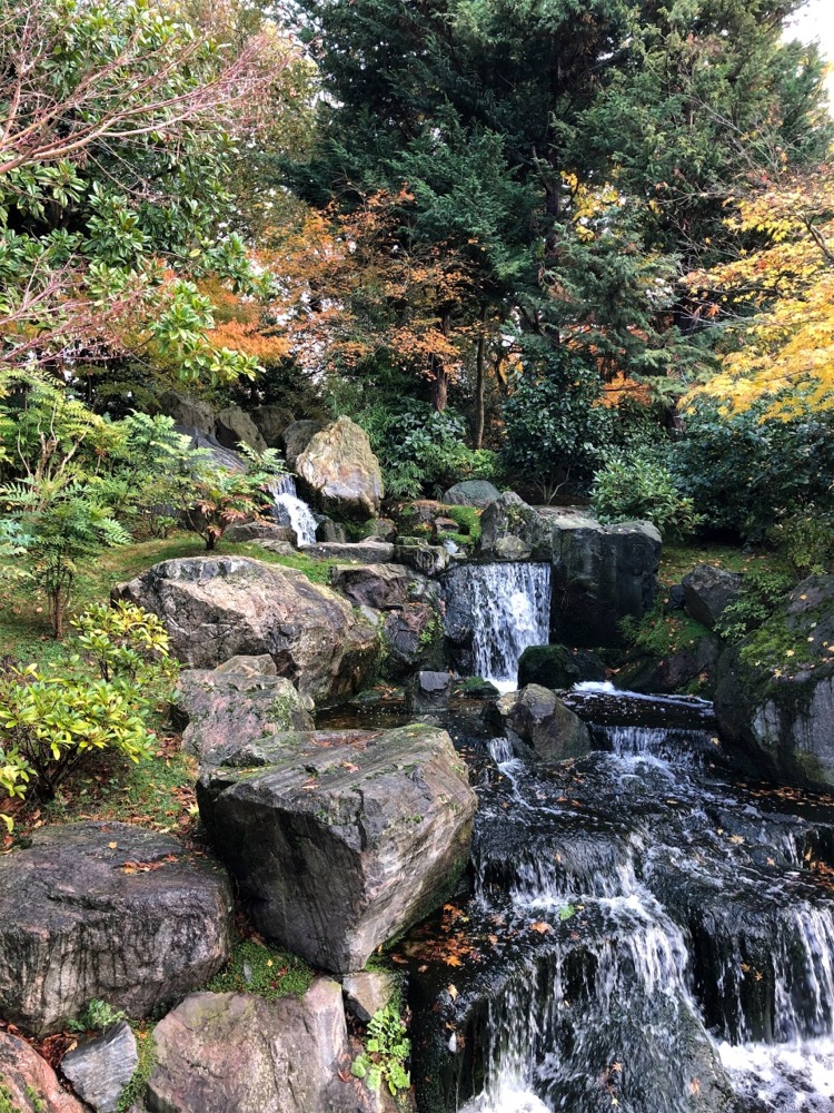 Kyoto Garden Holland Park, London, England, UK.