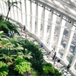 Sky Garden, 20 Fenchurch Street, London, England, UK.