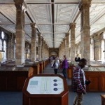 Natural History Museum - Fossil Exhibition Hall
