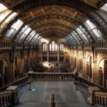 Natural History Museum - Hintze Hall