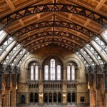 Natural History Museum - Hintze Hall