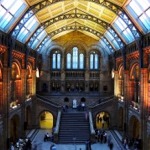 Natural History Museum - Hintze Hall