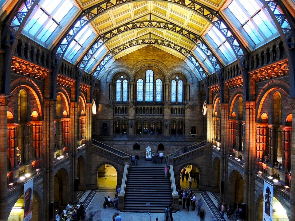 Natural History Museum London Hintze Hall - Photo 3