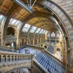 Natural History Museum - Hintze Hall