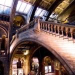 Natural History Museum - Hintze Hall