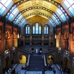 London Natural History Museum